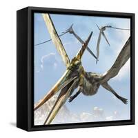 Flying Pterodactyls Searching for Food-Stocktrek Images-Framed Stretched Canvas