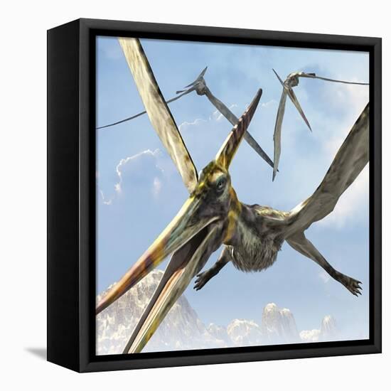 Flying Pterodactyls Searching for Food-Stocktrek Images-Framed Stretched Canvas