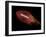 Flying Rugby Ball Isolated on Black.-Kesu01-Framed Photographic Print