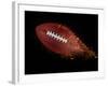 Flying Rugby Ball Isolated on Black.-Kesu01-Framed Photographic Print