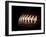 Flying Rugby Ball Isolated on Black.-Kesu01-Framed Photographic Print