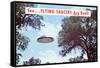 Flying Saucers are Real, Retro-null-Framed Stretched Canvas