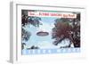 Flying Saucers are Real, Sierra Madre, California-null-Framed Art Print