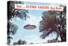 Flying Saucers are Real-Found Image Press-Stretched Canvas