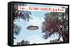 Flying Saucers are Real-Found Image Press-Framed Stretched Canvas