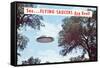 Flying Saucers are Real-Found Image Press-Framed Stretched Canvas