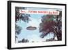 Flying Saucers are Real-Found Image Press-Framed Photographic Print