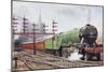 Flying Scotsman Steam Locomotive-null-Mounted Premium Giclee Print