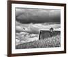 Flying Solo-Trent Foltz-Framed Giclee Print