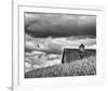 Flying Solo-Trent Foltz-Framed Giclee Print