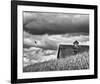 Flying Solo-Trent Foltz-Framed Giclee Print