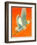 "Flying Storks,"June 19, 1937-Francis Lee Jaques-Framed Giclee Print