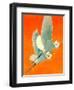 "Flying Storks,"June 19, 1937-Francis Lee Jaques-Framed Giclee Print