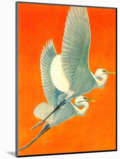 "Flying Storks,"June 19, 1937-Francis Lee Jaques-Mounted Giclee Print