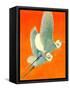 "Flying Storks,"June 19, 1937-Francis Lee Jaques-Framed Stretched Canvas