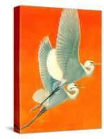 "Flying Storks,"June 19, 1937-Francis Lee Jaques-Stretched Canvas
