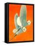 "Flying Storks,"June 19, 1937-Francis Lee Jaques-Framed Stretched Canvas