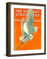 "Flying Storks," Saturday Evening Post Cover, June 19, 1937-Francis Lee Jaques-Framed Giclee Print