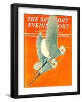 "Flying Storks," Saturday Evening Post Cover, June 19, 1937-Francis Lee Jaques-Framed Giclee Print