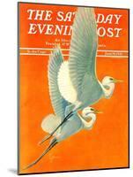 "Flying Storks," Saturday Evening Post Cover, June 19, 1937-Francis Lee Jaques-Mounted Giclee Print