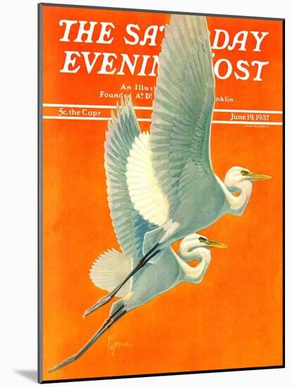 "Flying Storks," Saturday Evening Post Cover, June 19, 1937-Francis Lee Jaques-Mounted Giclee Print