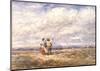 Flying the Kite-David Cox-Mounted Art Print