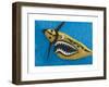 Flying Tiger, 1981-Eileen Agar-Framed Art Print