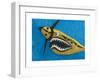 Flying Tiger, 1981-Eileen Agar-Framed Giclee Print