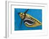 Flying Tiger, 1981-Eileen Agar-Framed Giclee Print