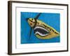 Flying Tiger, 1981-Eileen Agar-Framed Giclee Print