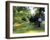 Flying to the Target-null-Framed Photographic Print