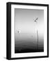 Flying-Moises Levy-Framed Photographic Print