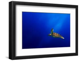 Flying-Mato P.-Framed Photographic Print