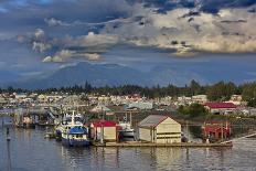 Beauty of Chilkat Mountains, Haines, Alaska-fmcginn-Mounted Photographic Print