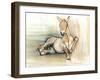 Foal, 2012-Mark Adlington-Framed Giclee Print