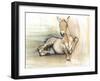 Foal, 2012-Mark Adlington-Framed Giclee Print