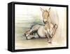 Foal, 2012-Mark Adlington-Framed Stretched Canvas