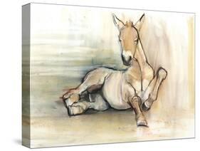 Foal, 2012-Mark Adlington-Stretched Canvas