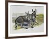 Foal and Jenny of African Wild Ass or African Wild Donkey (Equus Africanus), Equidae-null-Framed Giclee Print