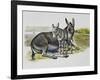 Foal and Jenny of African Wild Ass or African Wild Donkey (Equus Africanus), Equidae-null-Framed Giclee Print