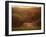 Foal in the Field I-Ozana Sturgeon-Framed Photographic Print