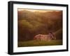 Foal in the Field I-Ozana Sturgeon-Framed Photographic Print