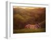 Foal in the Field I-Ozana Sturgeon-Framed Photographic Print