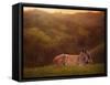 Foal in the Field I-Ozana Sturgeon-Framed Stretched Canvas