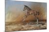 Foal Jumping for Joy-Michael Jackson-Mounted Giclee Print