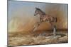 Foal Jumping for Joy-Michael Jackson-Mounted Giclee Print