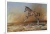 Foal Jumping for Joy-Michael Jackson-Framed Premium Giclee Print