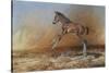 Foal Jumping for Joy-Michael Jackson-Stretched Canvas