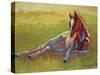 Foal Lying-Marion Rose-Stretched Canvas