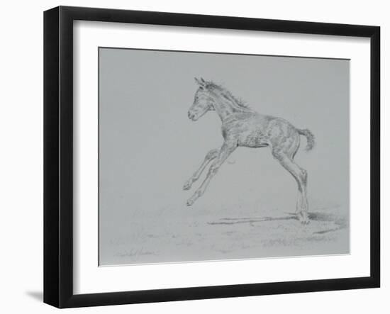 Foal Sketch-Michael Jackson-Framed Giclee Print